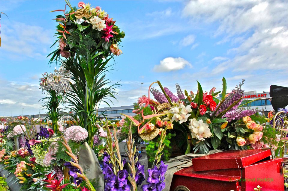 552610_325407007552432_291701600_n 552610_325407007552432_291701600_n